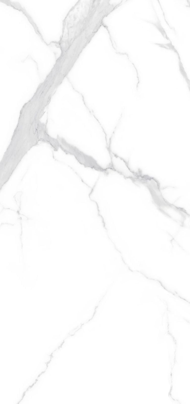 Statuario Cara 120x120
