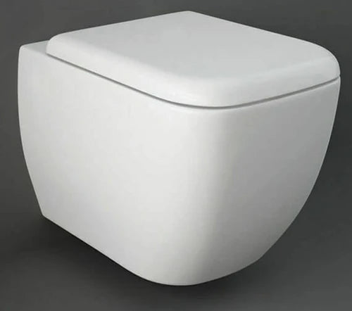 Grohe Concealed Cistern Wc Frame With Rak Ceramics Wall Hung Toilet Pan Metropolitan 3886020A + METWHPAN + RAKSEAT016