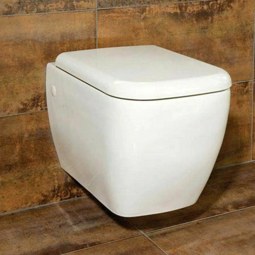 Grohe Concealed Cistern Wc Frame With Rak Ceramics Wall Hung Toilet Pan Metropolitan 3886020A + METWHPAN + RAKSEAT016