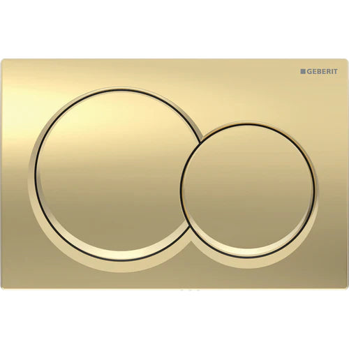 Anas Magna Rimless Pan With Geberit Duofix Alpha01 Wc Frame Brass Round Flush Plate 458.039.00.2 + 115.035.QE.1 + 1211-11
