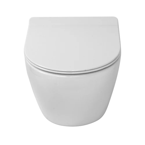 Anas Rimless Wall Hung Toilet Pan Roca Wc Frame 0.82 Chrome Flush Plate