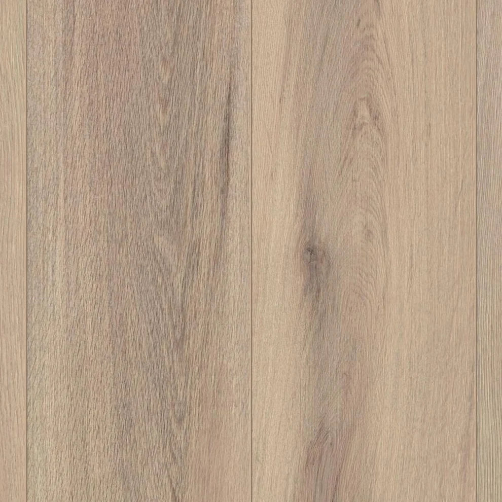 Apricate Arizona - 12mm Laminate Flooring