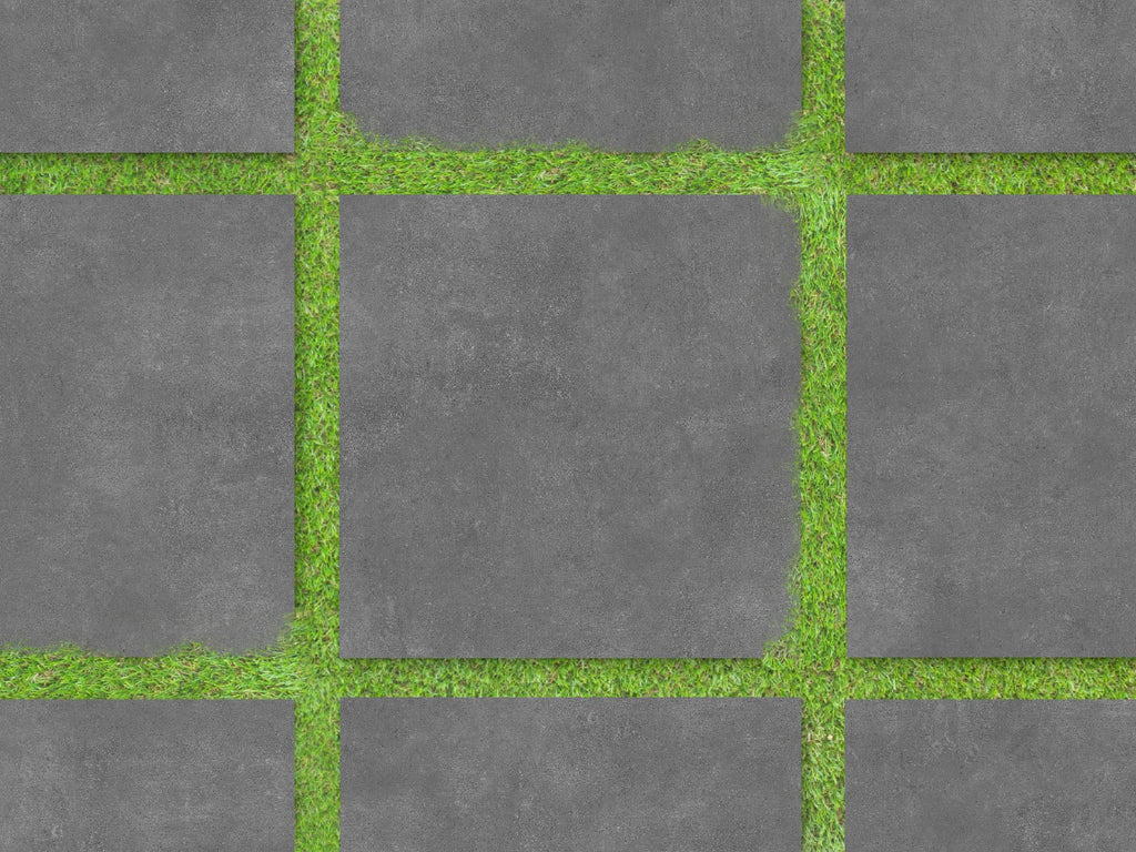 Ash Grey 60X60