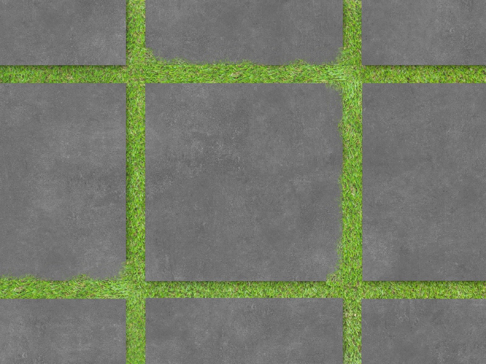 Ash Grey 60X60