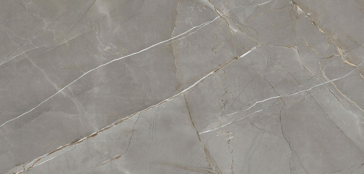 Arsenic Pigeon Dark 60x120