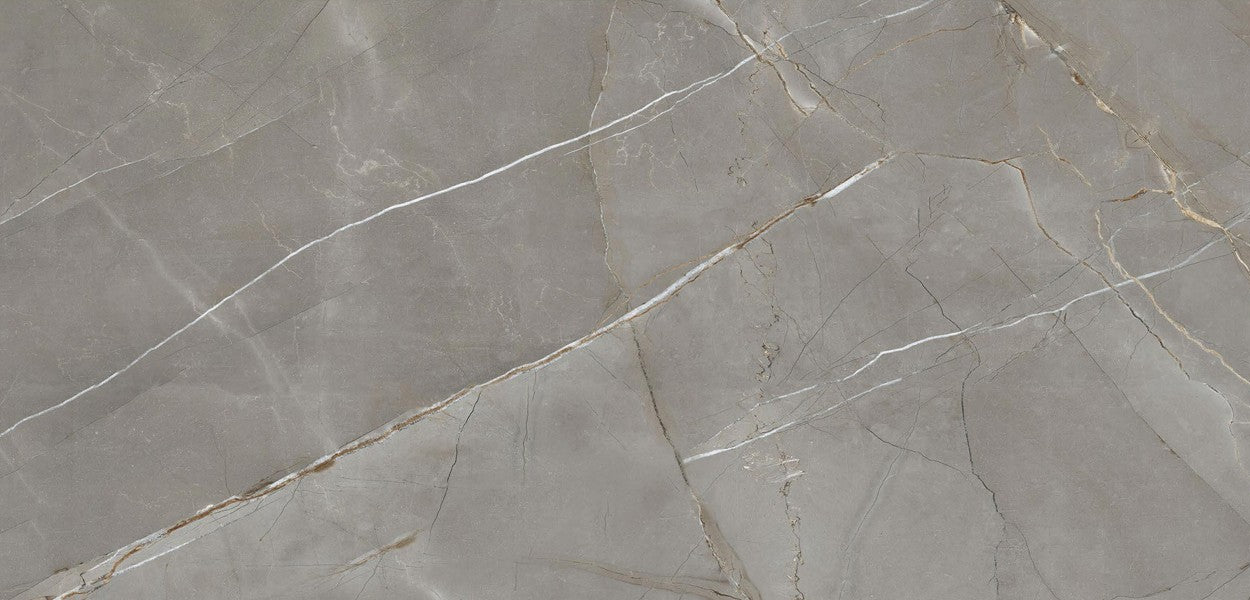 Arsenic Pigeon Dark 60x120
