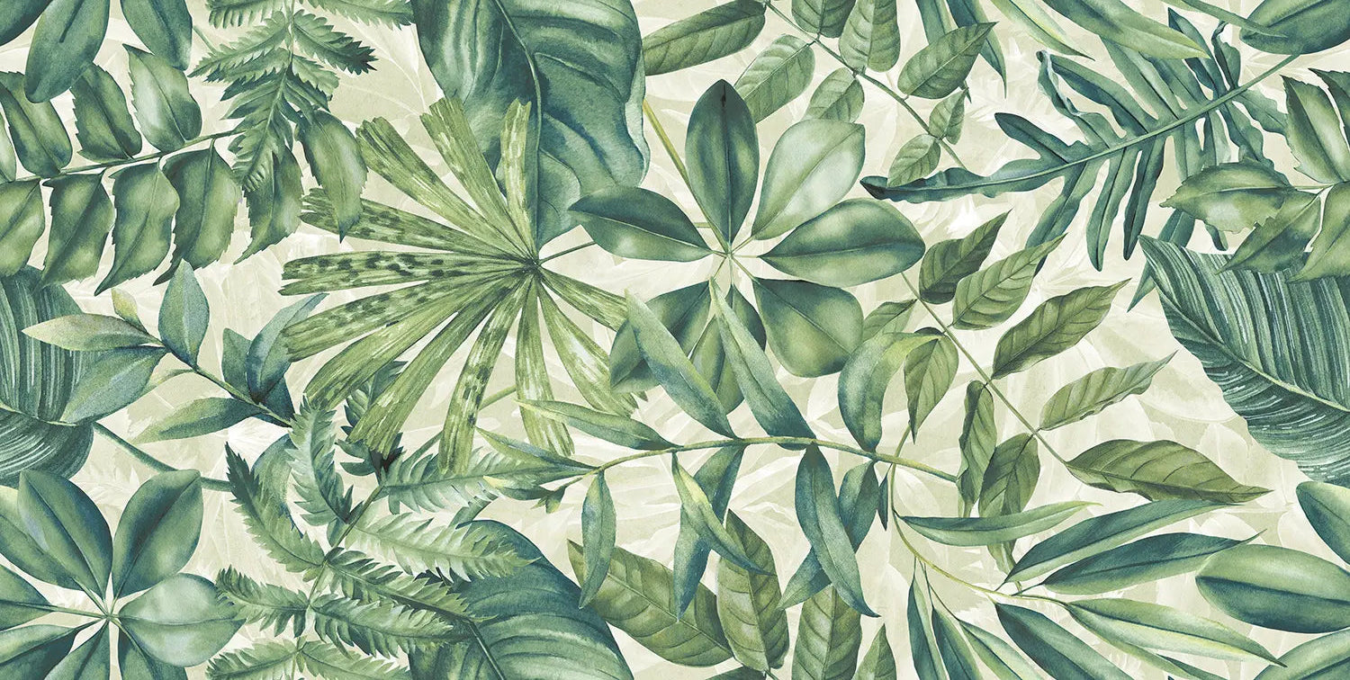 Alocasia Melo 60x120