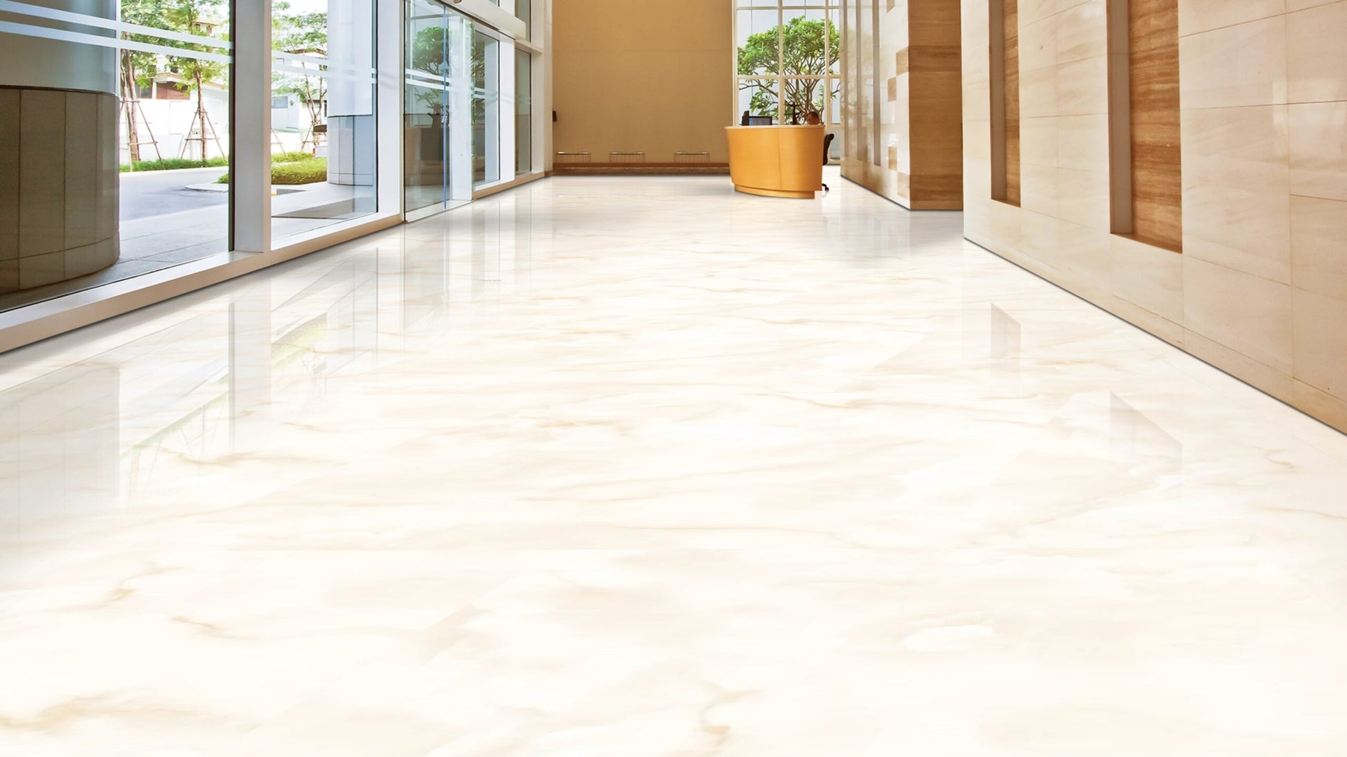 Ari Ivory 60x60