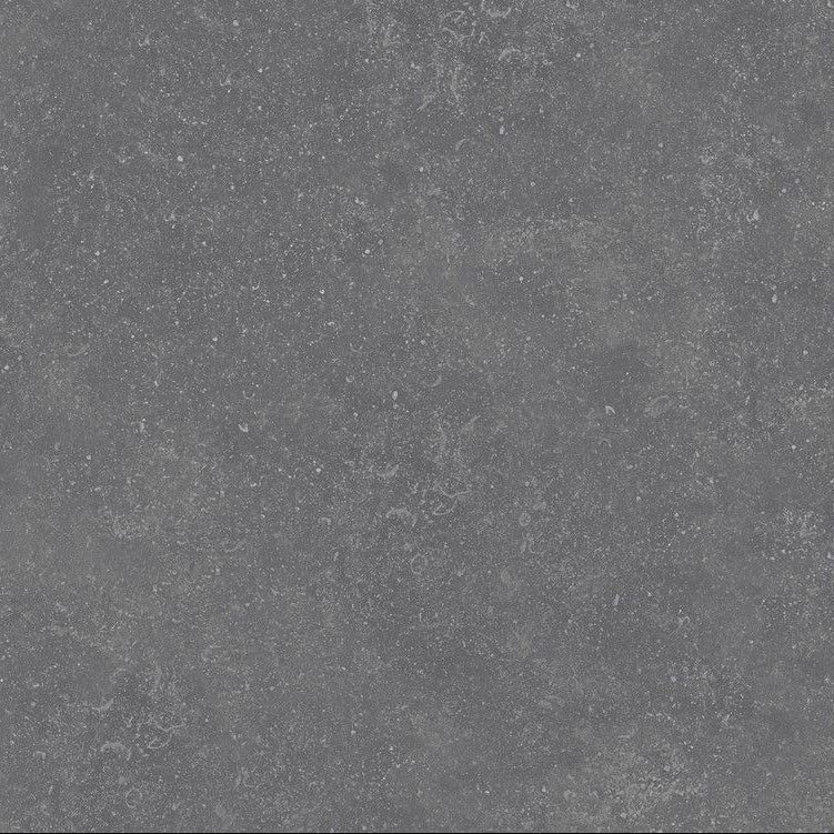 Benelux Grey 80x80