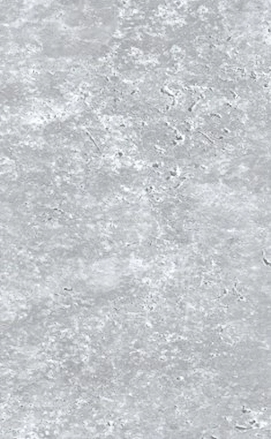 Waterproof Wall PVC Panel Concrete Matt