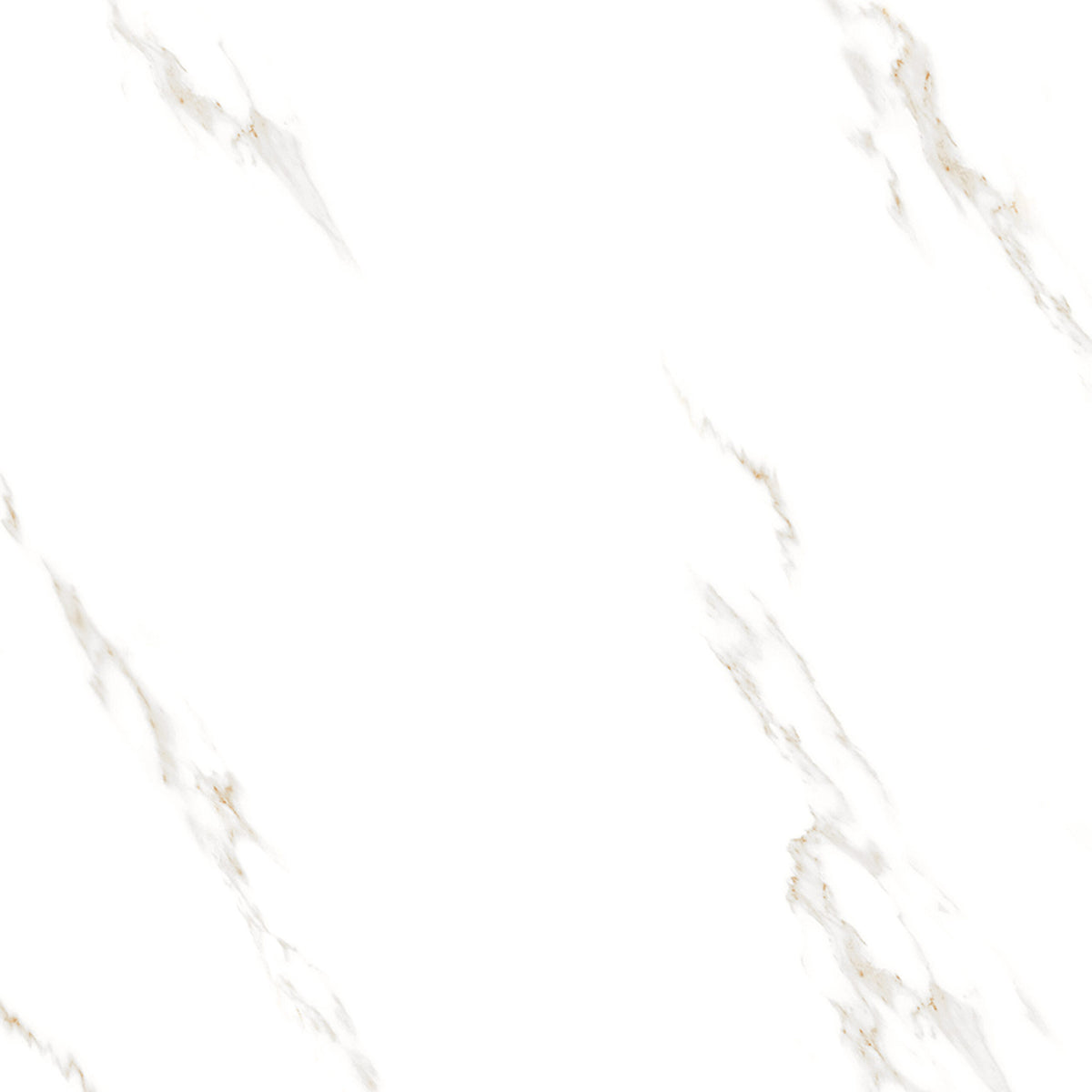 Apuan Calacutta 60x60
