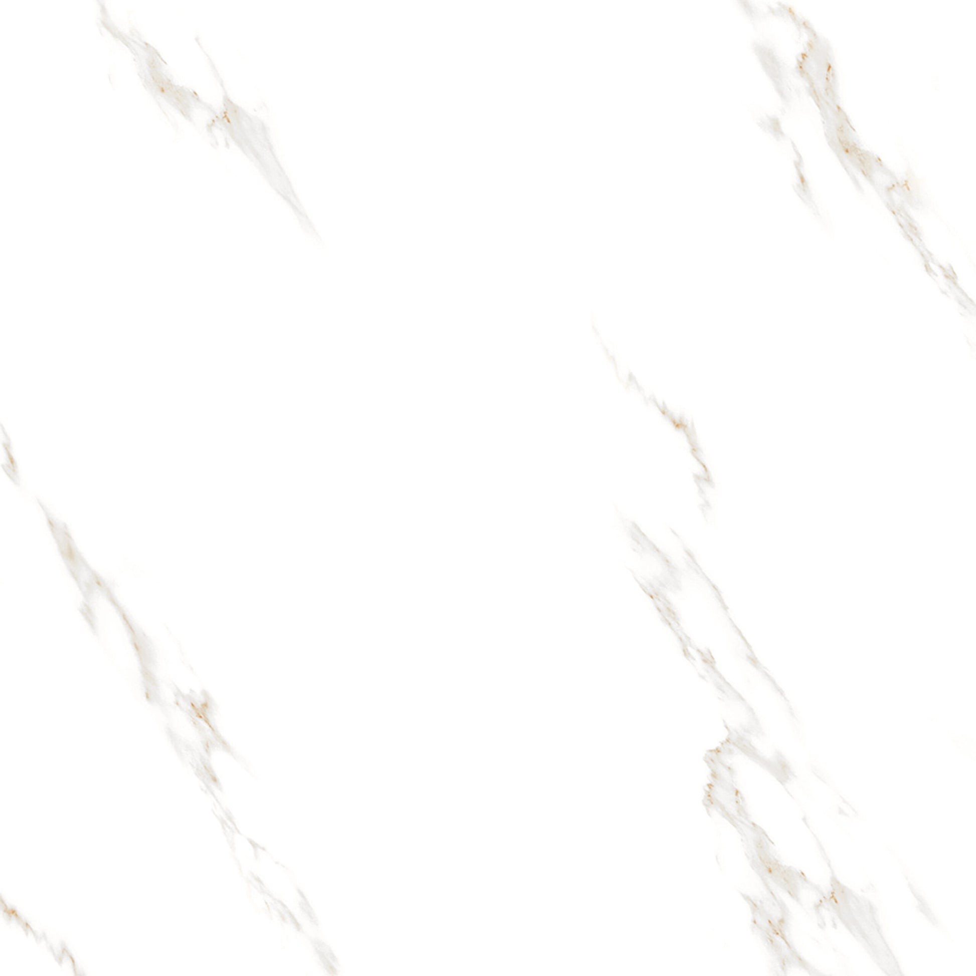 Apuan Calacutta 60x60