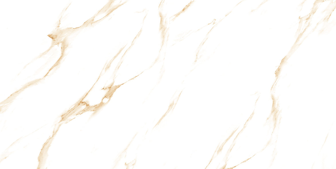 Alaska Sands 60x120