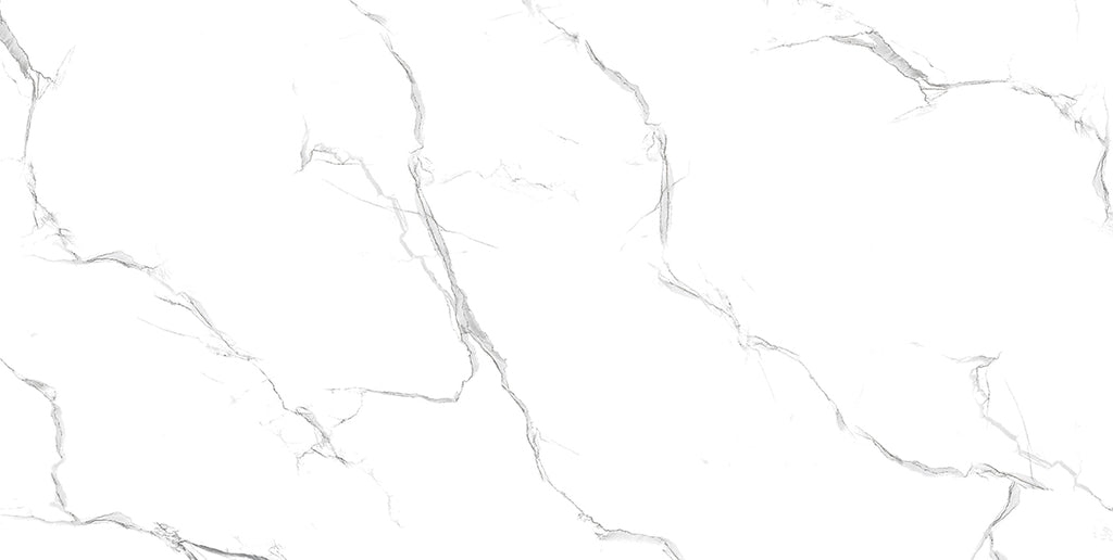 Alaska Grey 60x120