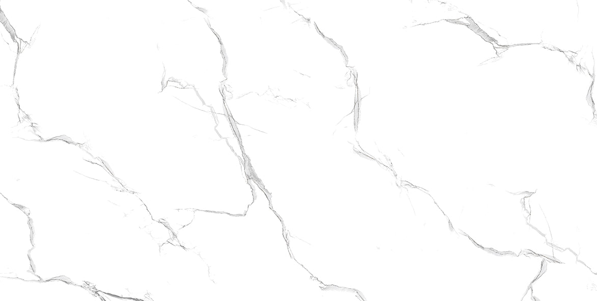 Alaska Grey 60x120