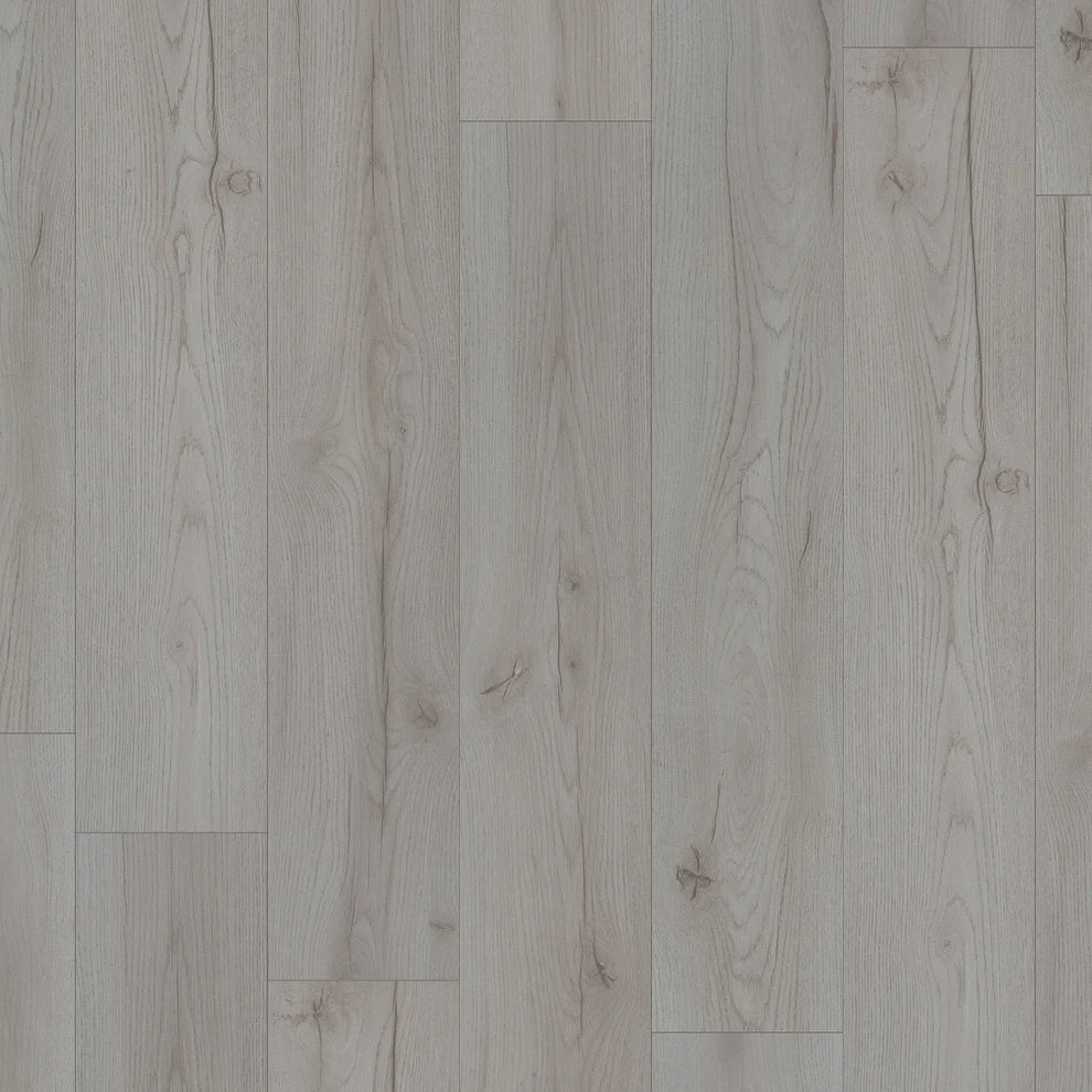 Century Oak Grey - 8mm Laminate Flooring