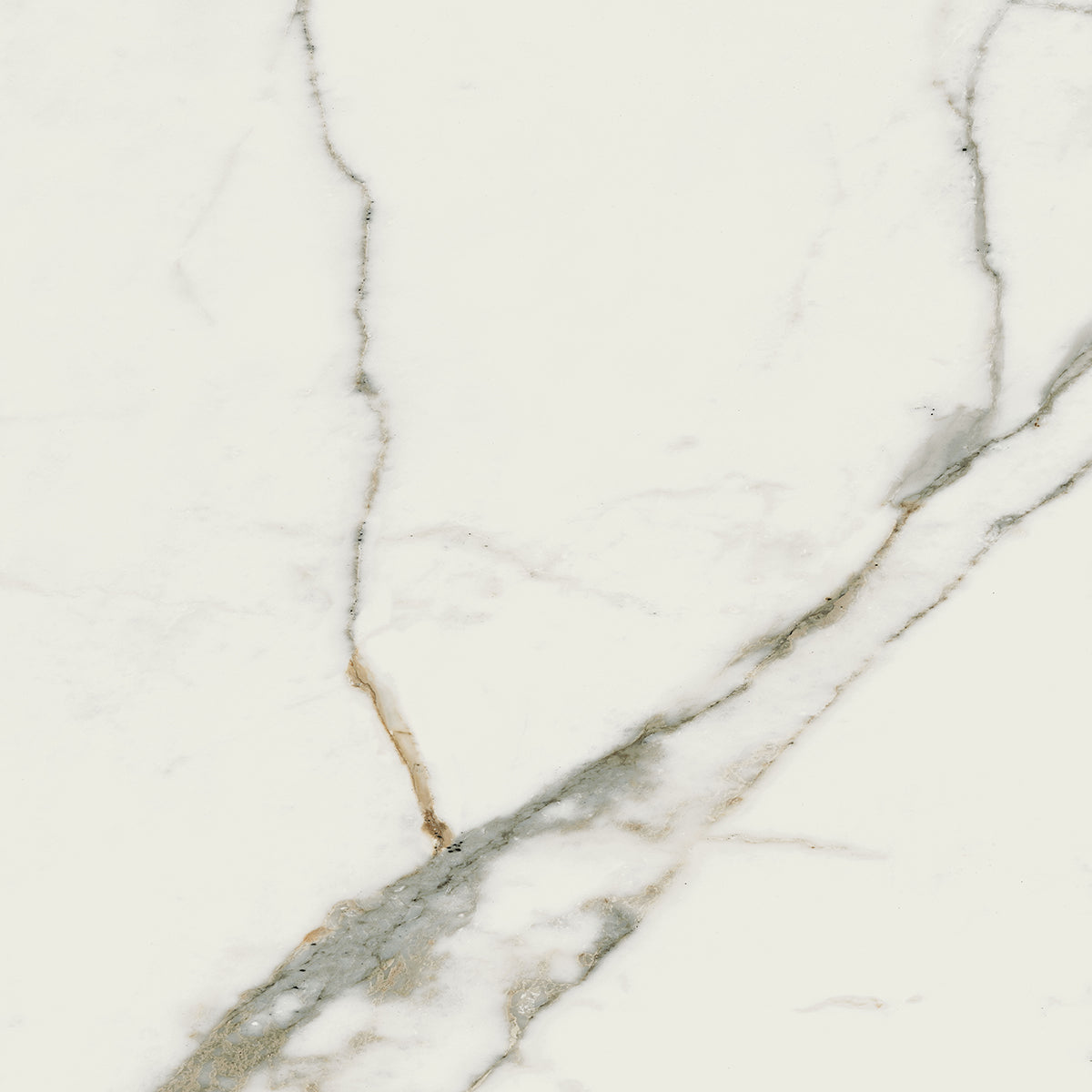 Destiny White 60x60