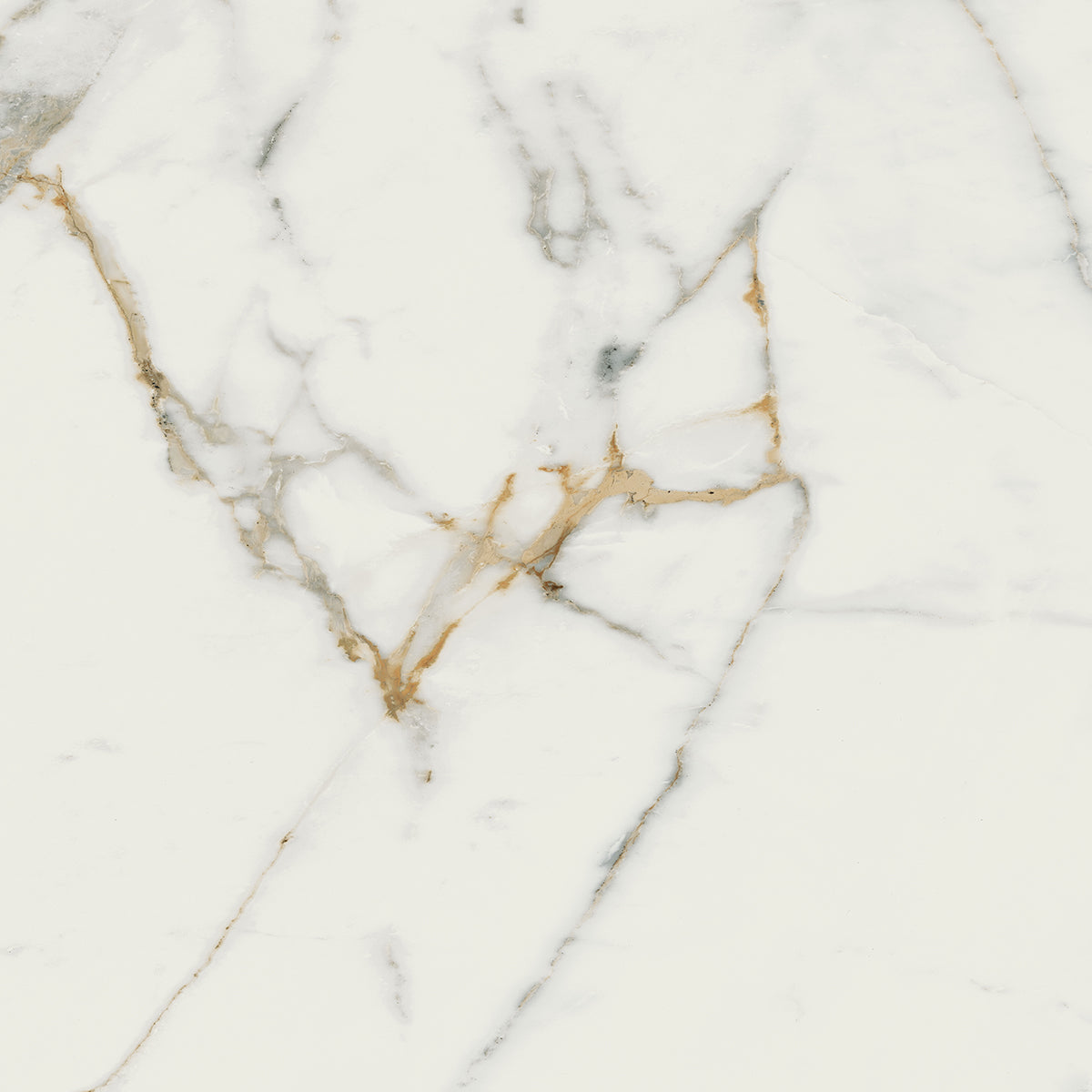 Destiny White 60x60