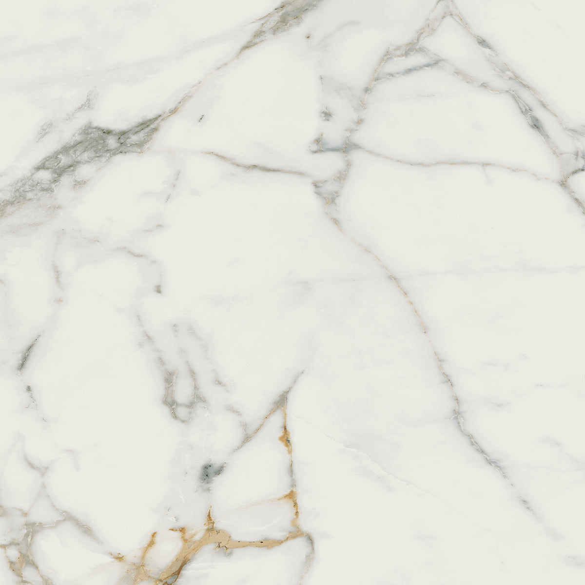 Destiny White 60x60
