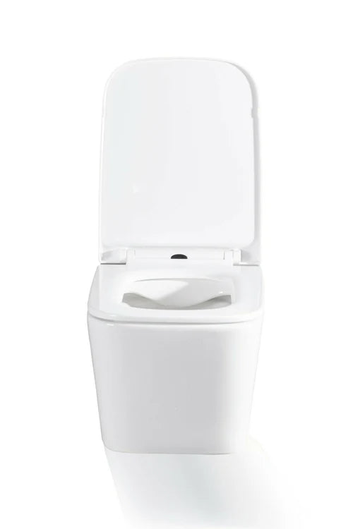 Geberit Duofix UP320 WC Frame Rimless Wall Hung Toilet Pan with Soft Close Seat