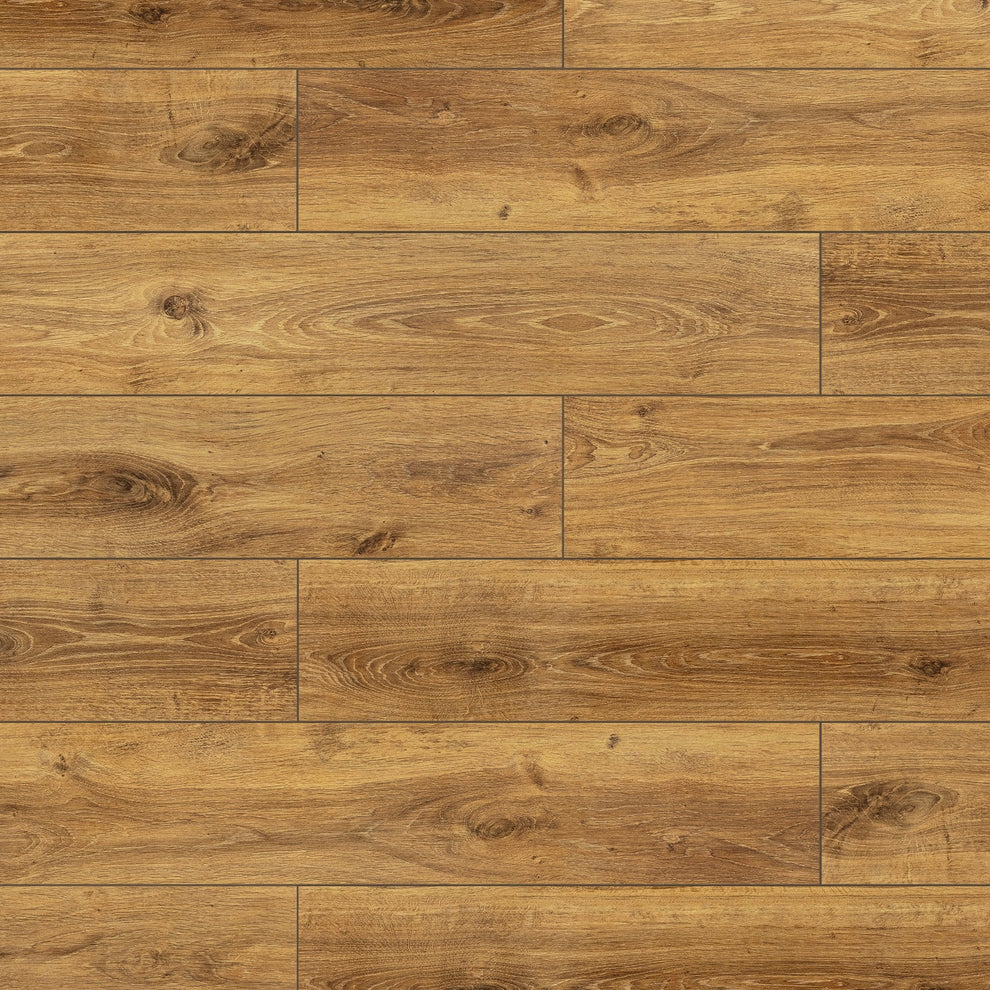 Timber Auburn - 8mm High Gloss Laminate Flooring