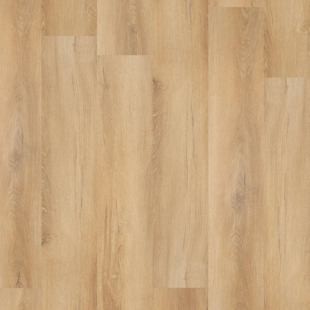 Prestige Honey Oak - 12mm Laminate Flooring