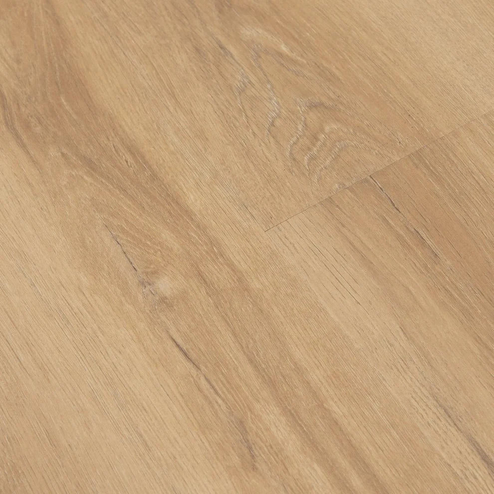 Prestige Honey Oak - 12mm Laminate Flooring