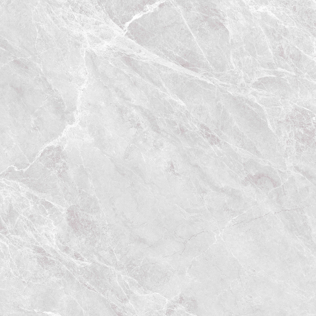 Las Palmas Grey 100x100