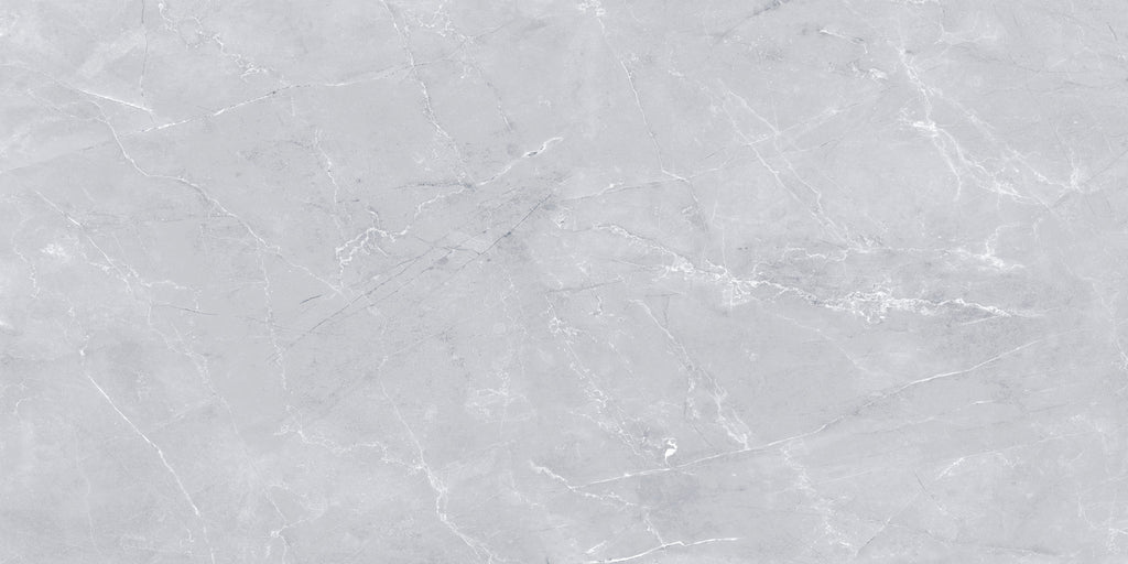 Calcolo Grey 60x120