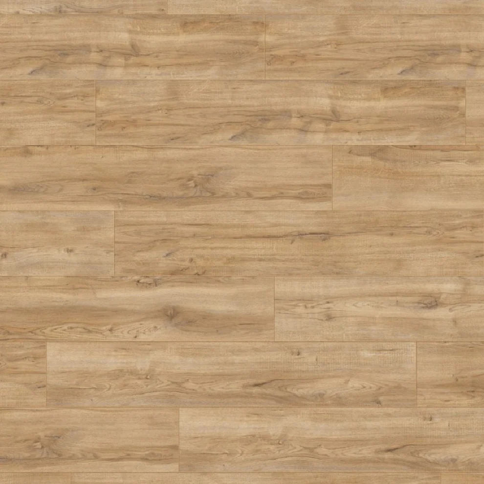 Arena Timber Oak - 8mm Laminate Flooring