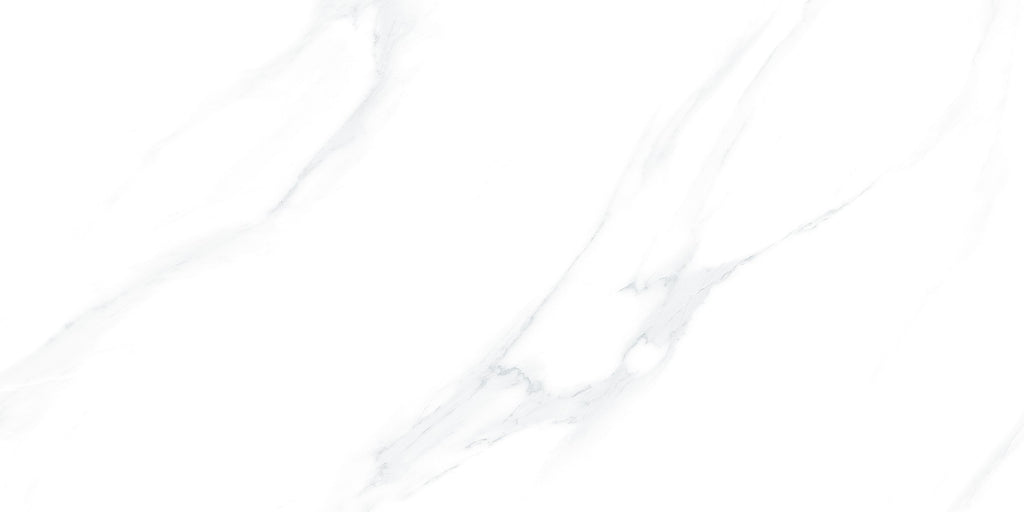 Quarry Grey Matt 60x120