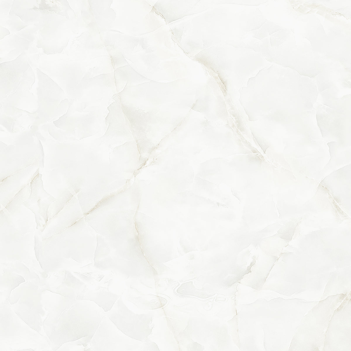 Dolomite Griege 60x60
