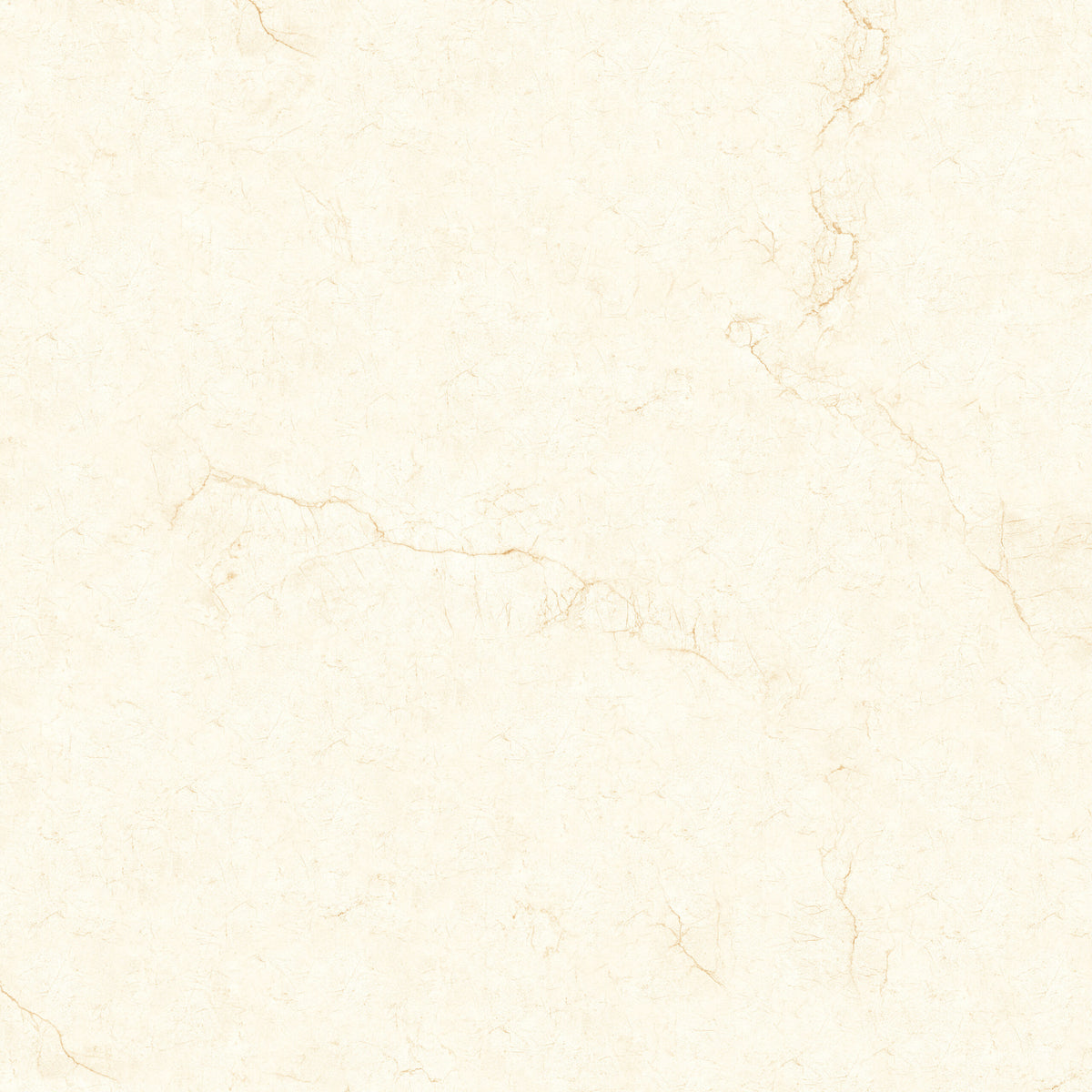 Flaxen Cream 60x60