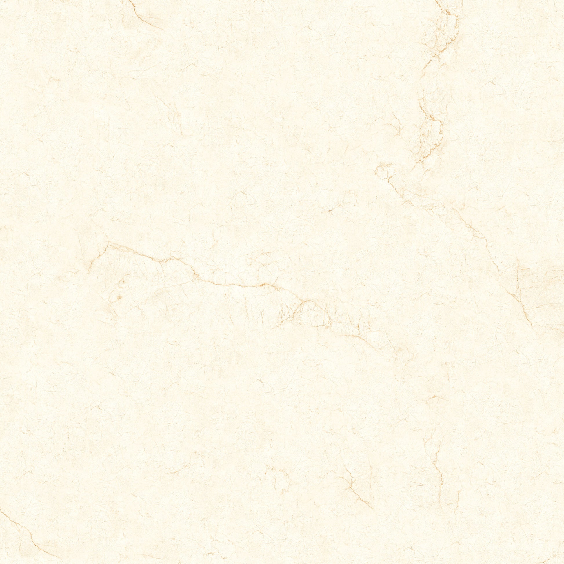 Flaxen Cream 60x60