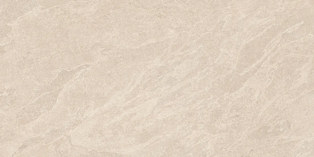 Rockery Silicate 60x120