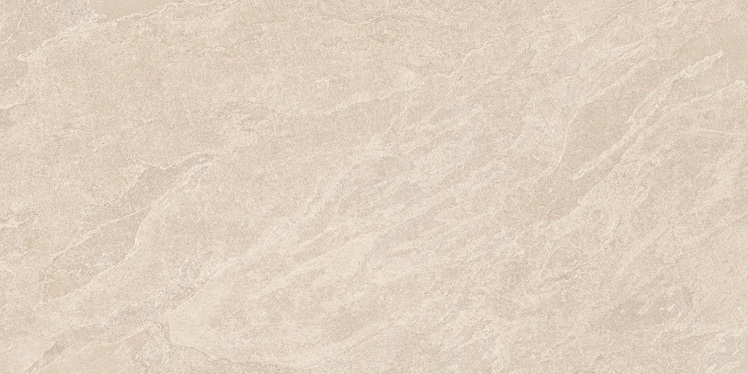 Rockery Silicate 60x120