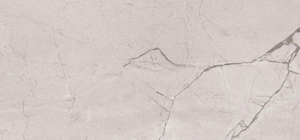 Regal Silver 60x120 Matt