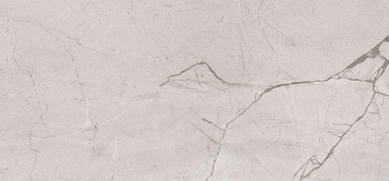 Regal Silver 60x120 Matt