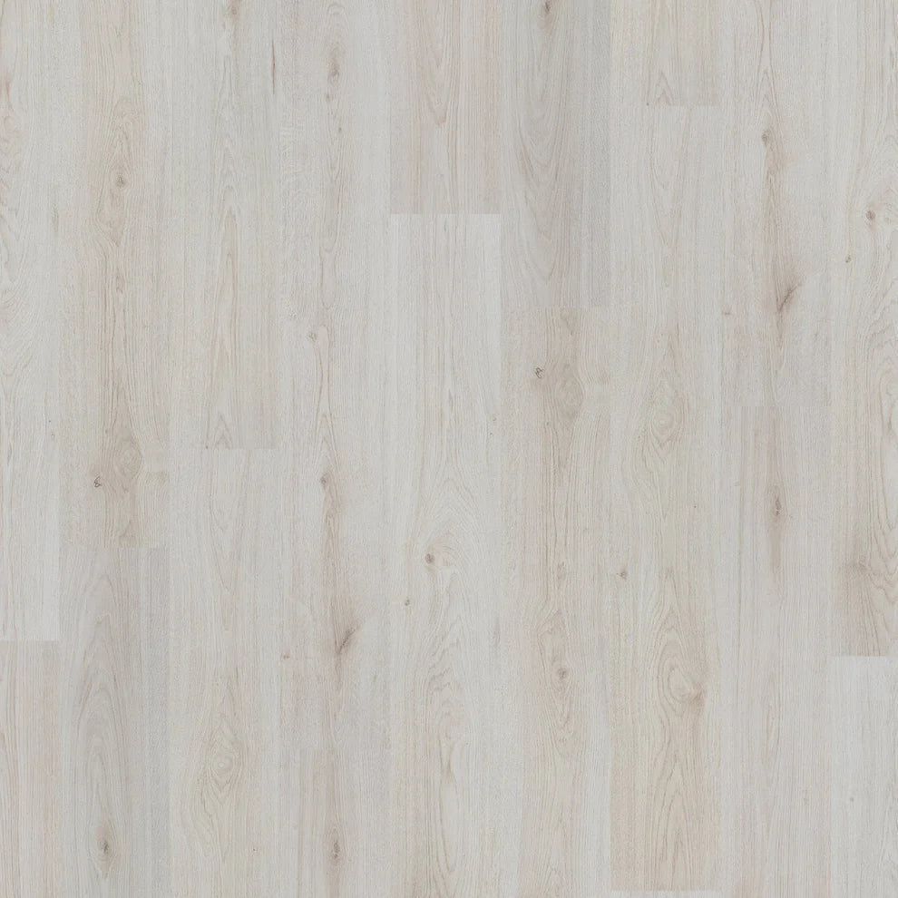 Trend Oak White - Basic 6mm Laminate Flooring
