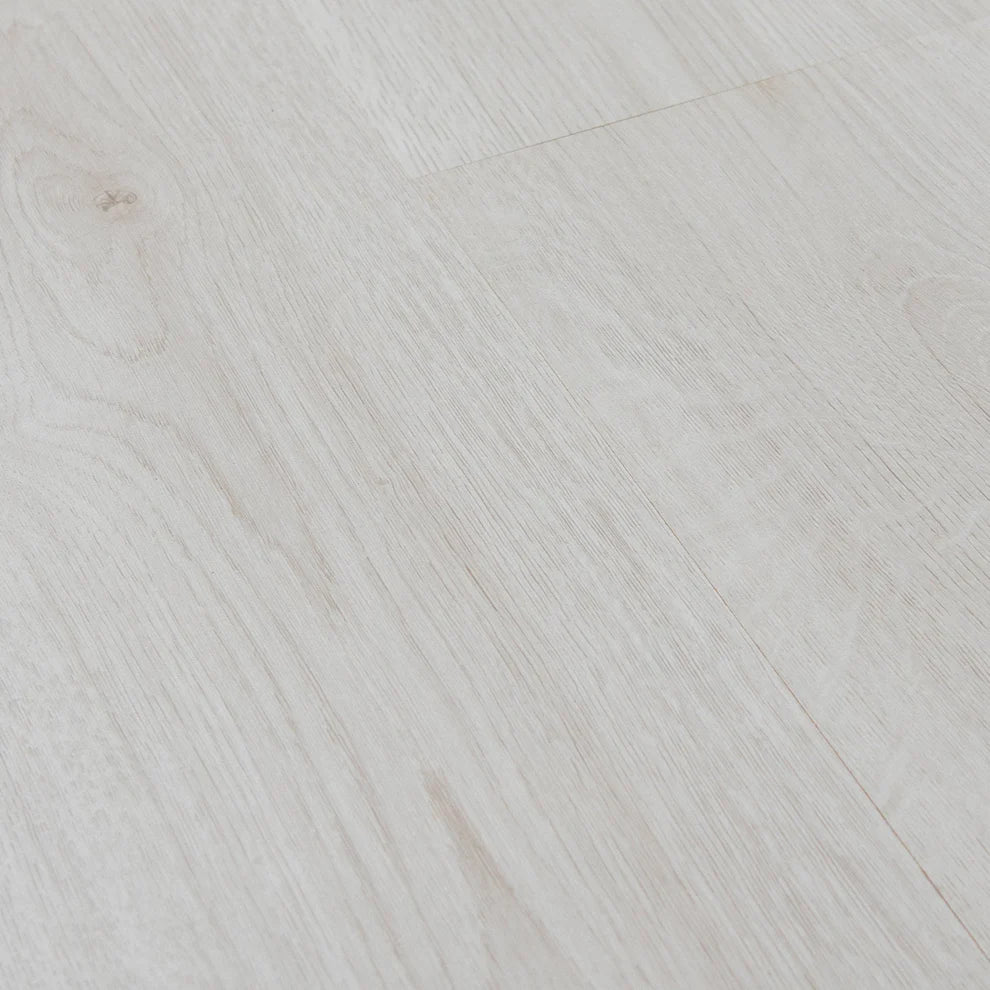 Trend Oak White - Basic 6mm Laminate Flooring