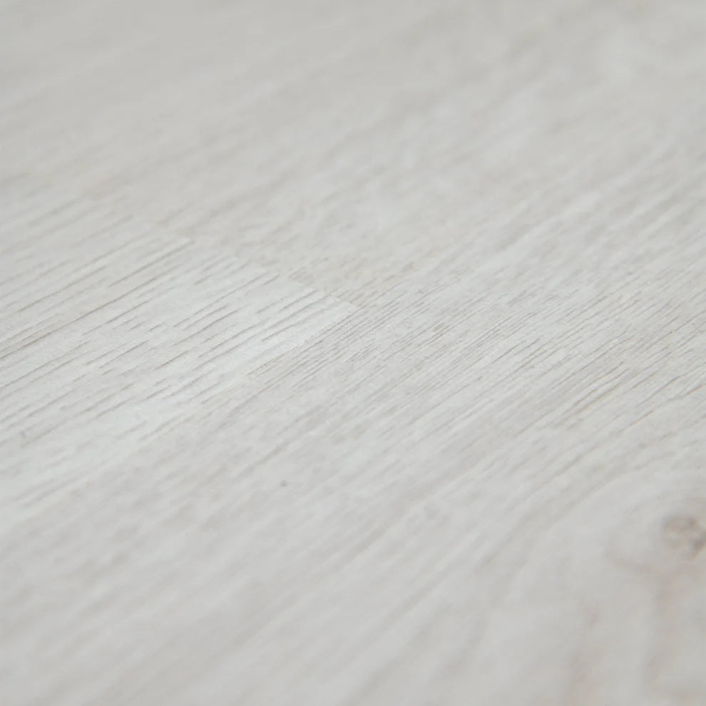 Trend Oak White - Basic 6mm Laminate Flooring