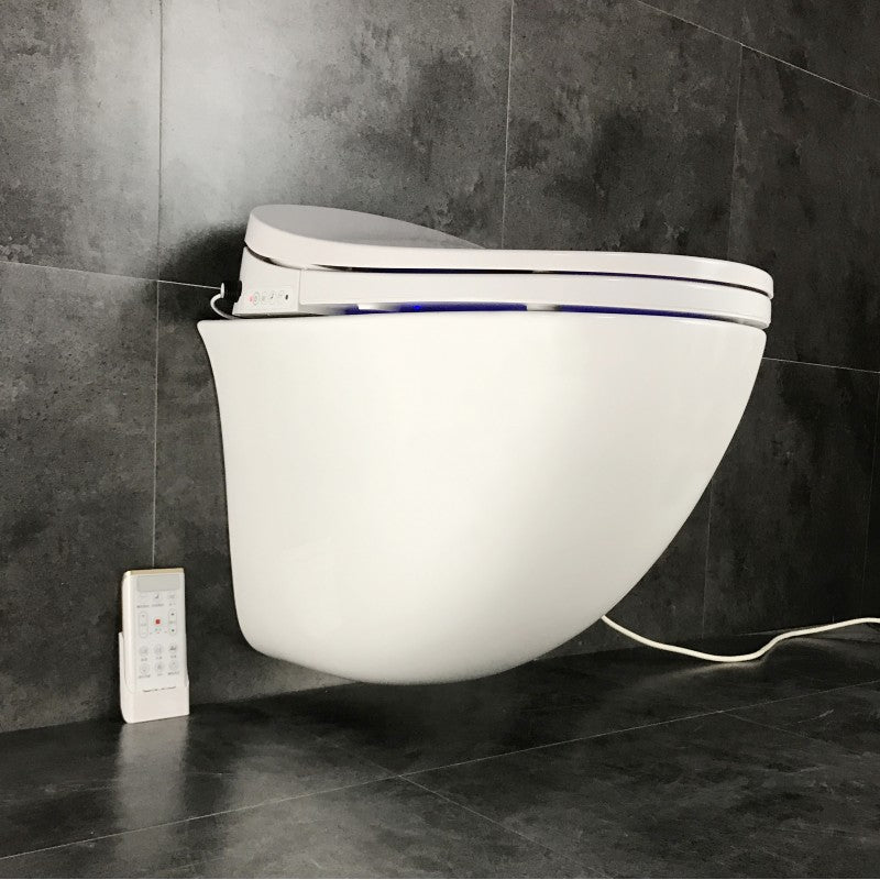 Smart Rimless Wall Hung Pan