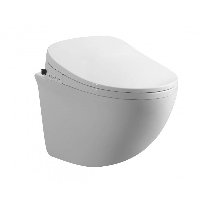 Smart Rimless Wall Hung Pan