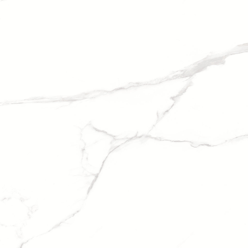 Web White 60x60