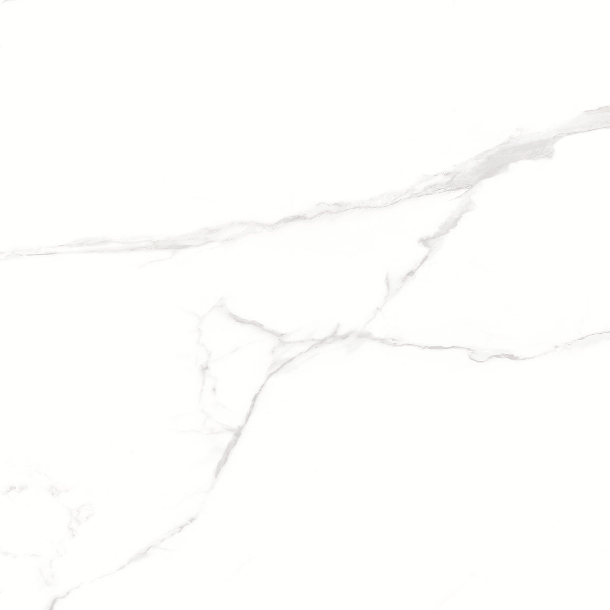 Web White 60x60