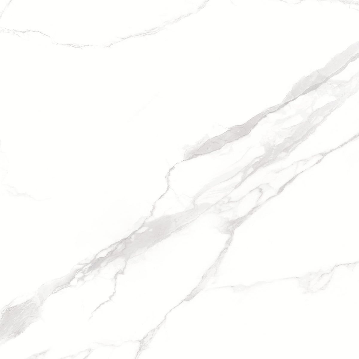 Web White 60x60