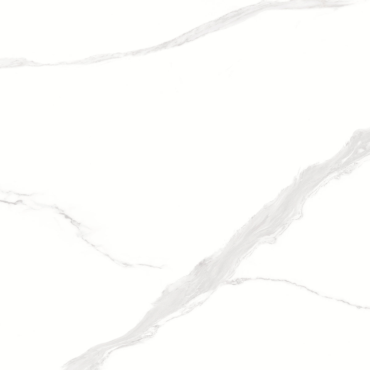 Web White 60x60