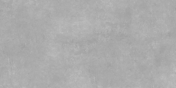 Ark Silver 60x120