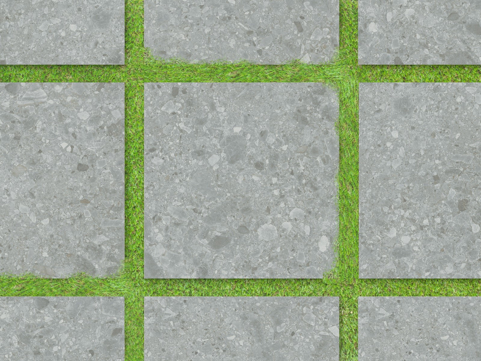 Terrazo Grigio 60x60