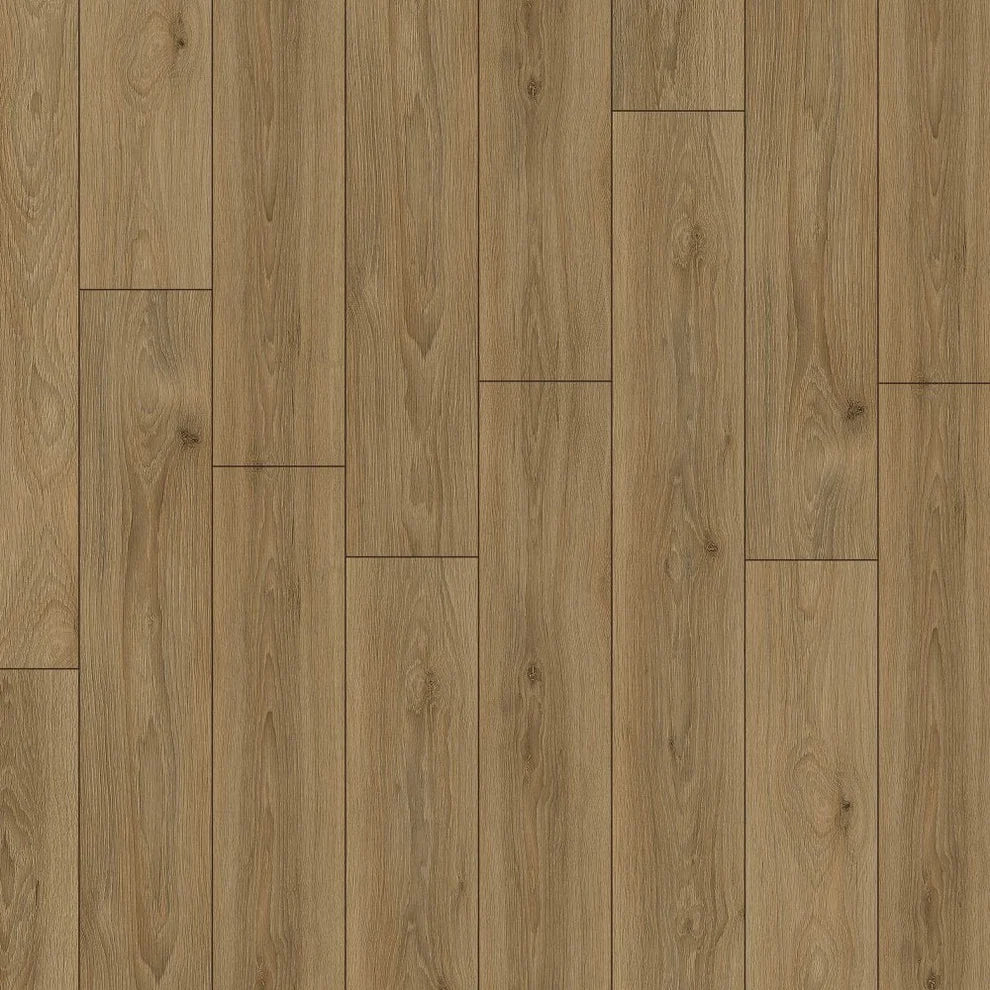 Madeira Woodland - 8mm Laminate Flooring